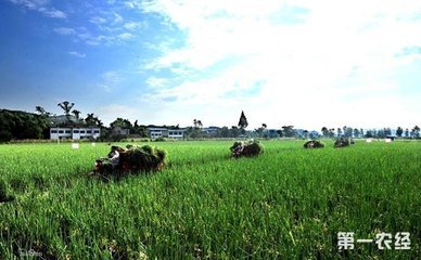 �ɱ����h������������Ӱ��£����ʃr���߄��֌����?