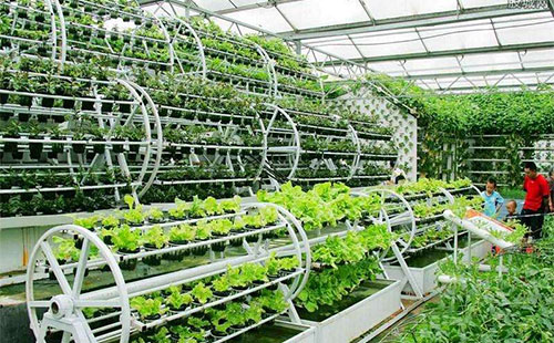 �r�����r�I�c�ʘI�����������B