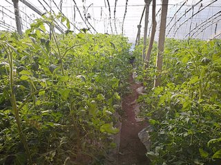 ɽ�|����ˮ��һ�w�������M(j��n)���ʜp����Ч