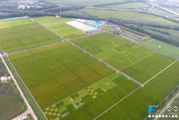 Һ�w�����Ј�(ch��ng)���l(f��)�ڼ�