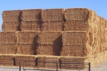 �ն���ô̎�����h�����ƌW���Ӵ�ն����ϻ�̎����֧������