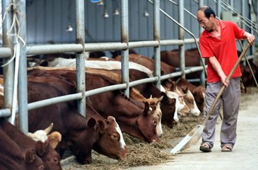 �P(gu��n)�����_2018ɽ�|�r(n��ng)��ѭ�h(hu��n)��(j��ng)��(j��) �߷�Փ����֪ͨ����һ݆��