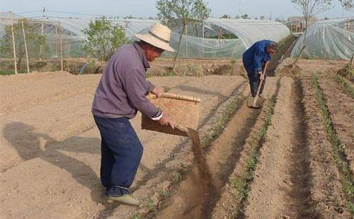 �ЙC������ǰ���V韣�Ʒ�|�Ǯa�I�lչ�P�I