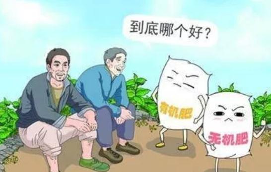 �ЙC(j��)�ʺͻ��ʵ��P(gu��n)ϵ�����Ǹ��������Ǻ�����