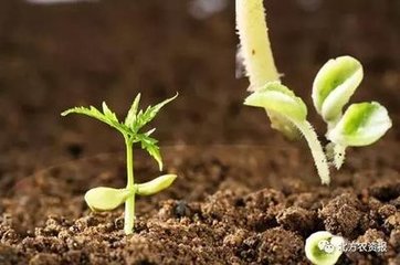 ΢������ϣ�2020�꿂�a��Ҫ�_��3000�f����