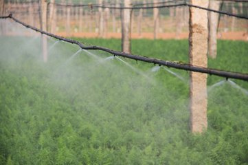 ˮ��һ�w������O��׌�r�I��ȸ�����