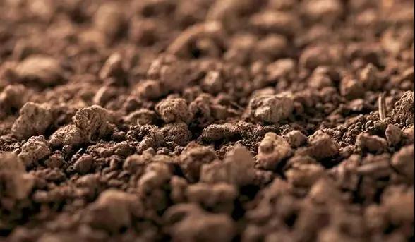 1��1����������Ⱦ����ʽ��ʩ���@Щ�r�I�О錢���P�