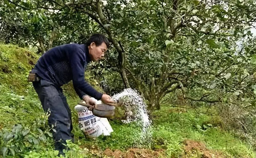  ��΢���I�B(y��ng)Ԫ�ط������������˂����P(gu��n)ע����ҕ