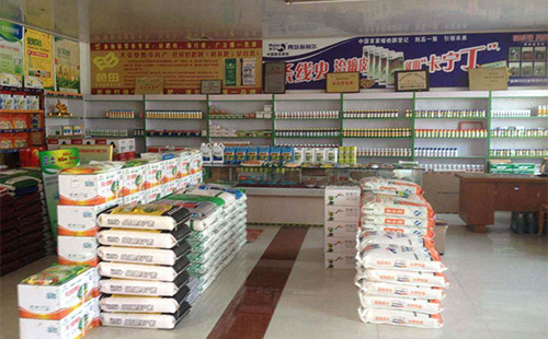 2019������ИIʮ��׃���A�y