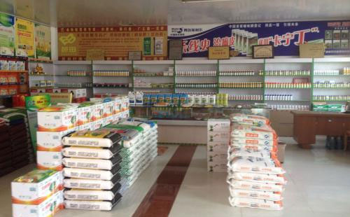 �A�y2019�껯�ʽ猢Ҫ�l���ġ����¡�