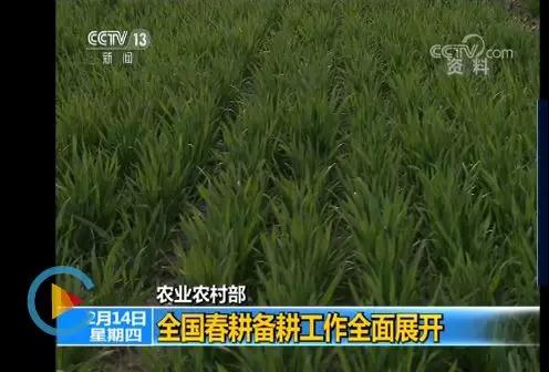 �����l(f��)�\(y��n)�������\(y��n)�M(f��i)���{(di��o)���������p����......Ҫ�q��