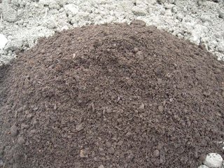 �@���ЙC�ʾ�Ȼ�̘I���g�@ô��