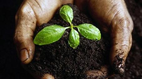 ���ͷ����ИI�lչѸ�� ���g�������@����