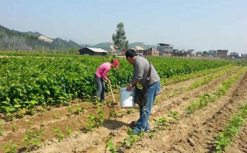 �ИI�Ȍ��҇��@�V�ʑ����c�ƏV��Ԓ�}�l������