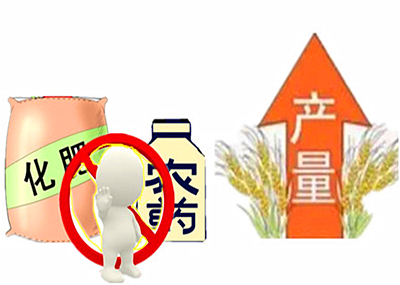 ���������ߡ����ƻ����rˎ����ؓ���L