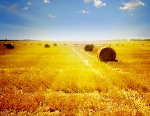 ����(zh��n)�r(n��ng)�I(y��)��5�Nģʽ