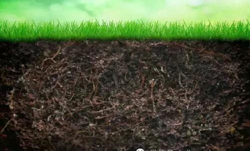 ����΢������ʵİlչ��r��