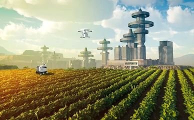 �����ƌW���A�yδ���r�I�lչ�������