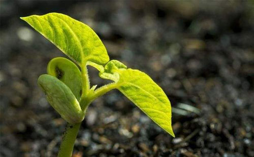 ΢�������2020������_��3000�f�����a(ch��n)�I(y��)�l(f��)չǰ���V�