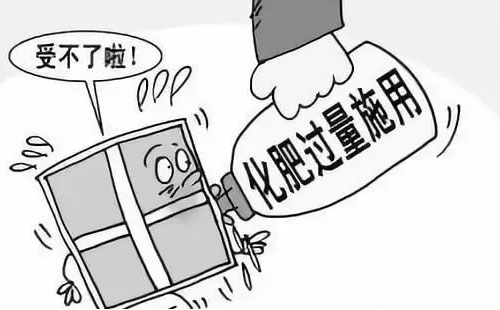 ���ʽY������ƣ��Gɫ�lչ��Ҫ�D������