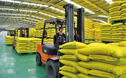 �����ƏVҪ����������ͬ���ֲ�������桱��