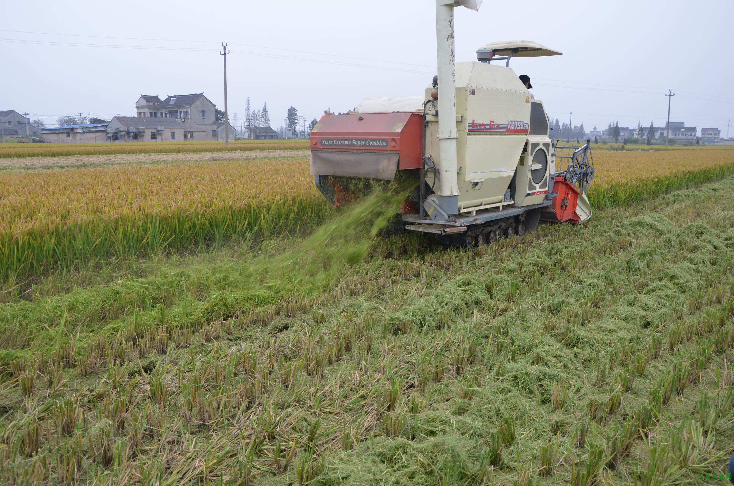 �T���͡��ИI�˜�ȱʧ ˮ�ܷʘ˜���ӆ��������