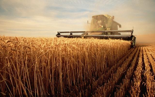 �㽭̽�����ʶ��~�� ���M�r�I�Gɫ�lչ