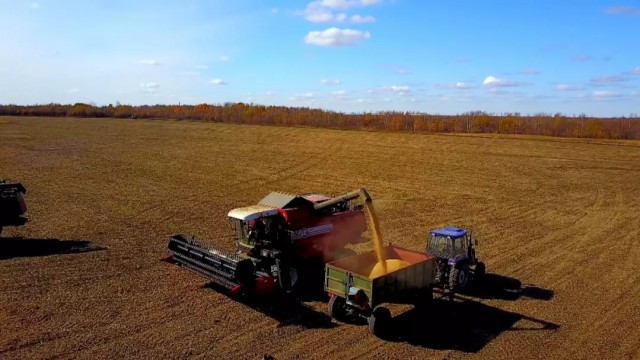 ���_˹ȫ���󶹳����Ї����_�G����