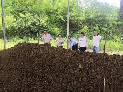 ȫ���Ƅӻ��ʜp����Ч