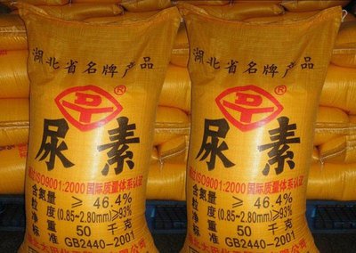 ������؛�����ڽ���ʲô��