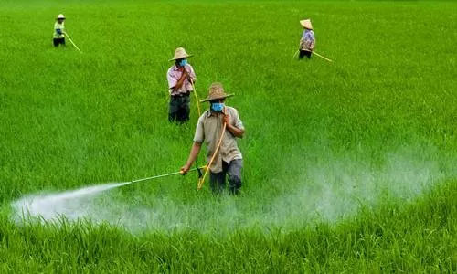 ���� | ˎ�ʵĵ�ӛ�������Ȇ��}���