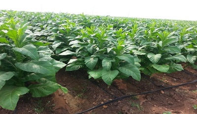 �r�Y�Ј������󣬲��ִ���ؠ�֮�أ�