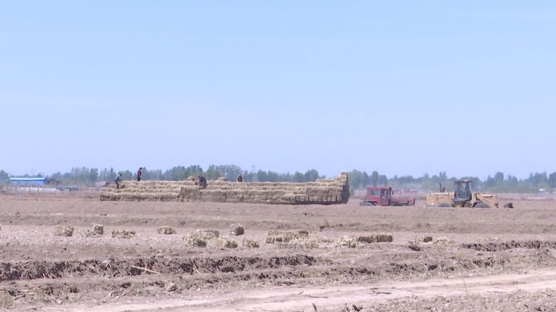 �}�A���ﵾ����