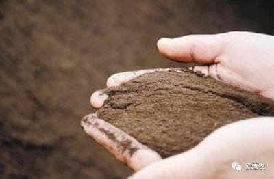 �r�I�r�岿�Ӵ��a�N���ȼӿ��ЙC���ƏV����