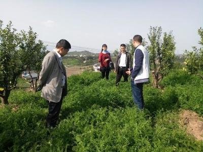 �ҿh����ƽ�������ЙC�ʷN�����B(t��i)����