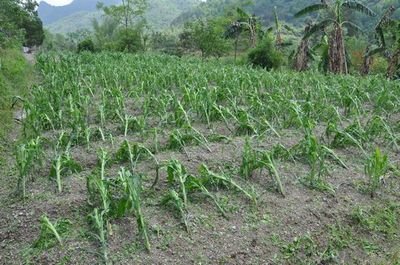 ��ʡ�r�����ܞ���e1960���f�����ﶬ�Nզ���M������ָ����Ҋ����