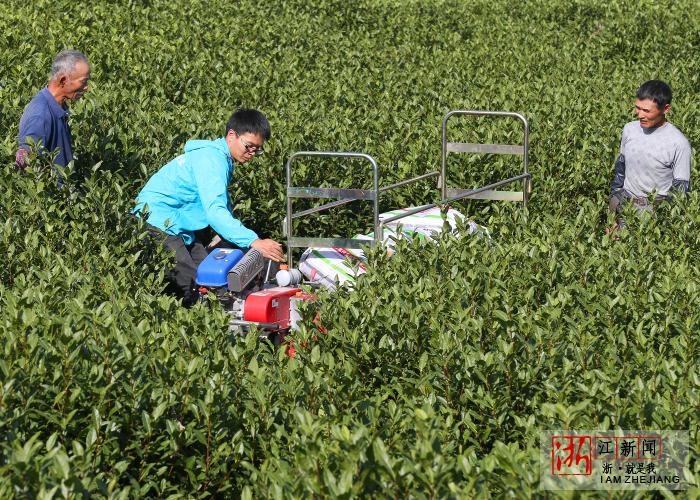 �㽭������׌�ЙC(j��)�����ϡ���@�p