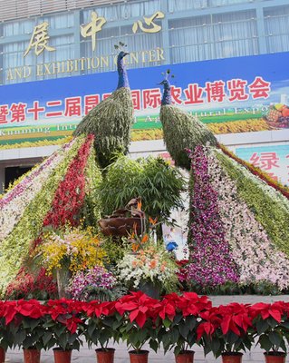 ��ʮ�����r(n��ng)�������m�_Ļ 15�҅�չ��I(y��)��ؚ������ٛ251���ЙC(j��)��