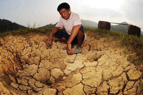 ����ܿ�һ�|Ԫ����ʡ�ݿ����Ȟ�