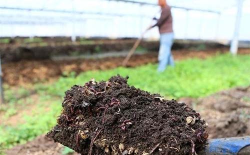 ���ݼS���ЙC(j��)�ʵġ�������ñ���Ǖr��ժ����