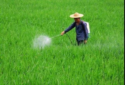 �㽭���ʡ��rˎʩ�����B�m6�ꌍ�Fؓ���L