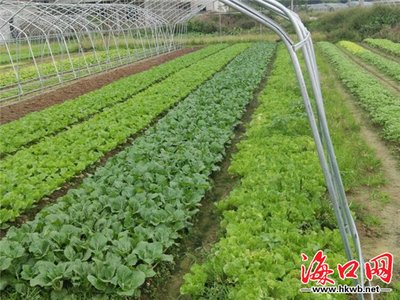 ����Ҭ���~�����ƏV�ЙC��:�����S�ʮa������