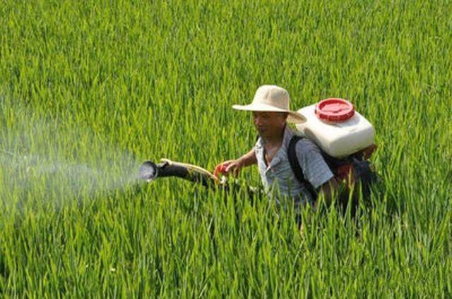 �r(n��ng)�I(y��)�r(n��ng)�岿������Zʳ���ﻯ���r(n��ng)ˎ�����ʷքe�����39.2%��39.8%