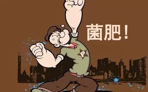 ΢������ʣ�·�ںη���