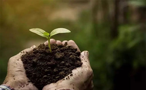 �ޏ����������ƭh���������������|��Ч......΢������϶���������