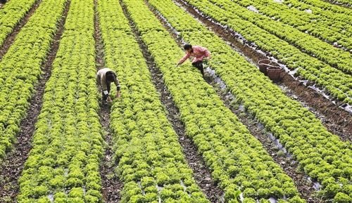 ����9��ʩ�����r�Y�������r�I���a