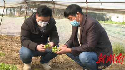 ������ء��r�I���a�ɲ��`