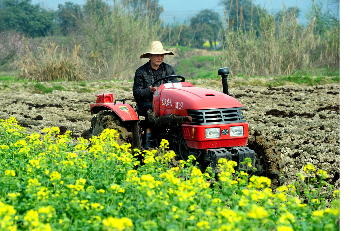 �����ǰ�A���r�I���a����Y��18.2�| ������e2400�f������