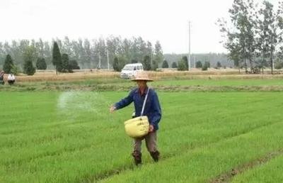 ���������ᳫ�h���ͻ��� �����r�I���a