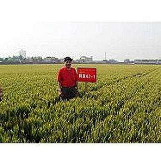 ���C���h���ЙC�ʞ鴺���������{�o��